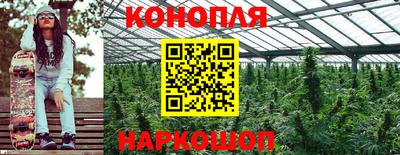 крисы Мариинск