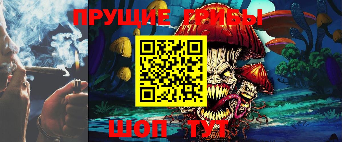 Псилоцибиновые грибы Psilocybine cubensis Будённовск