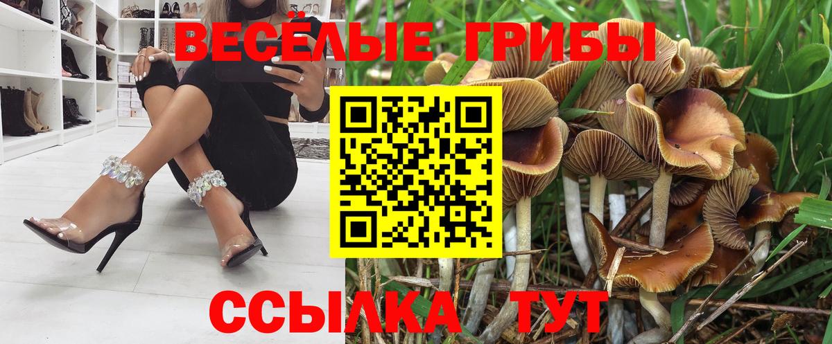 Псилоцибиновые грибы ЛСД  Псилоцибиновые грибы Psilocybe  Будённовск  Вход с VPN 
